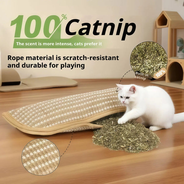 ClawMaster Cat Scratcher Pillow