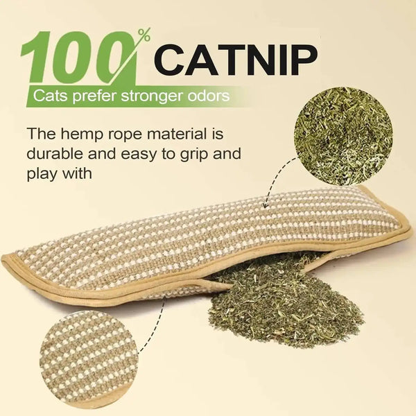 ClawMaster Cat Scratcher Pillow